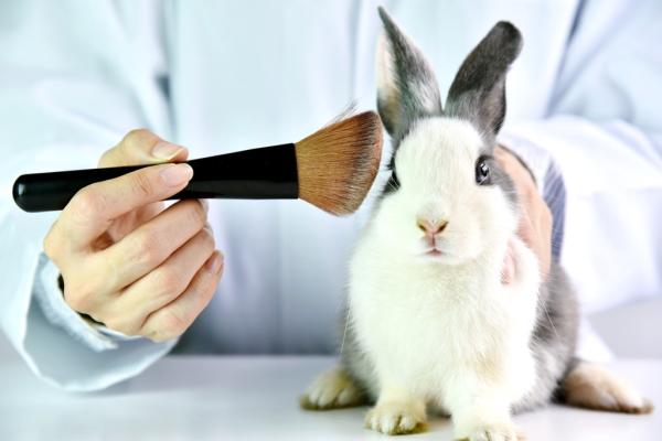 Bunny in cosmetics testing.jpg